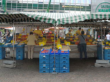 Früchtemagier